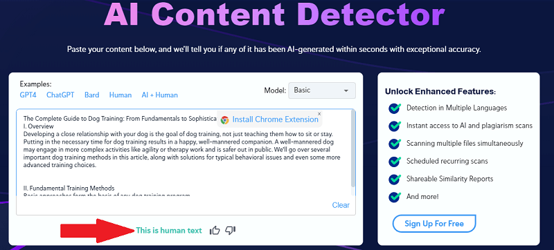 CopyLeaks - AI Content Detector - Content Passed AI Test